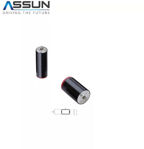 6600 rpm Coreless Brushed Motor , 870mA 12v Brushed DC Motor