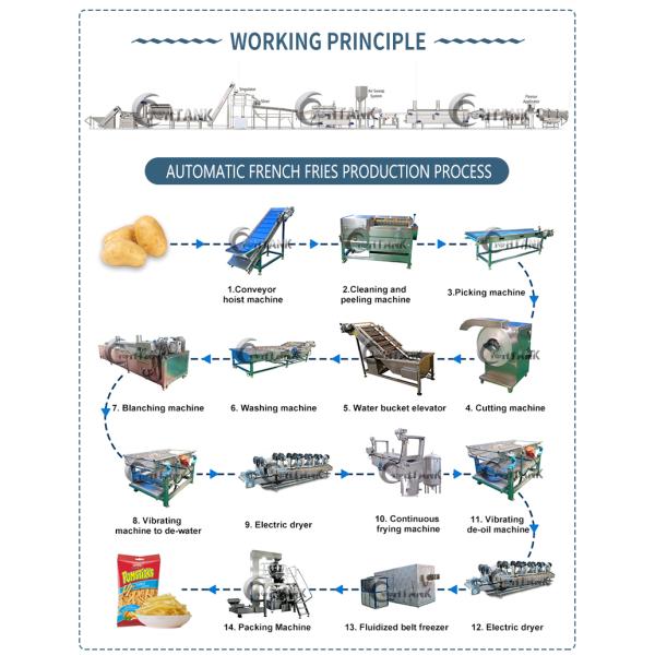 Electric Gas Frozen French Fries Production Line , Frozen French Fries Equipment