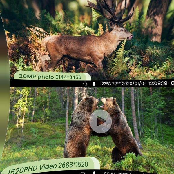 2 Sensors 1520P HD 20MP Trail Wildlife Camera IP66 For hunting