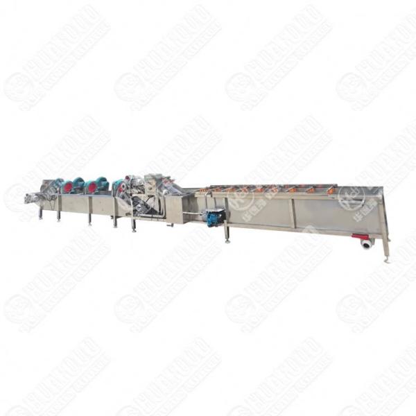 Farm Agriculture Industrial Food Drying Treatment Line Automatic Dehydrating Drying Line Cabbage Processing Machine