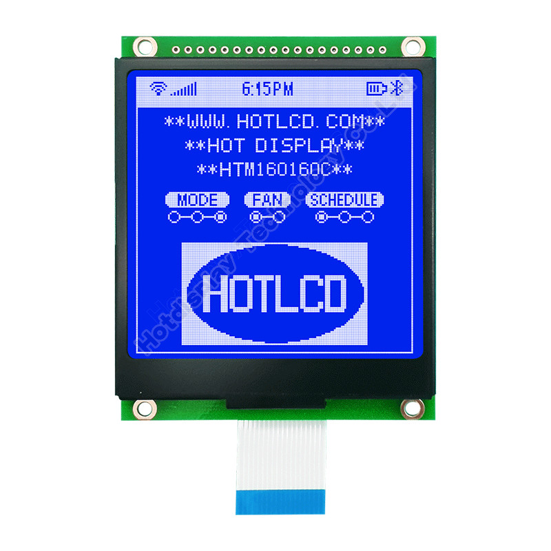 модуль 160X160 FSTN графический LCD с белизной освещает UC1698 контржурным светом HTM160160C