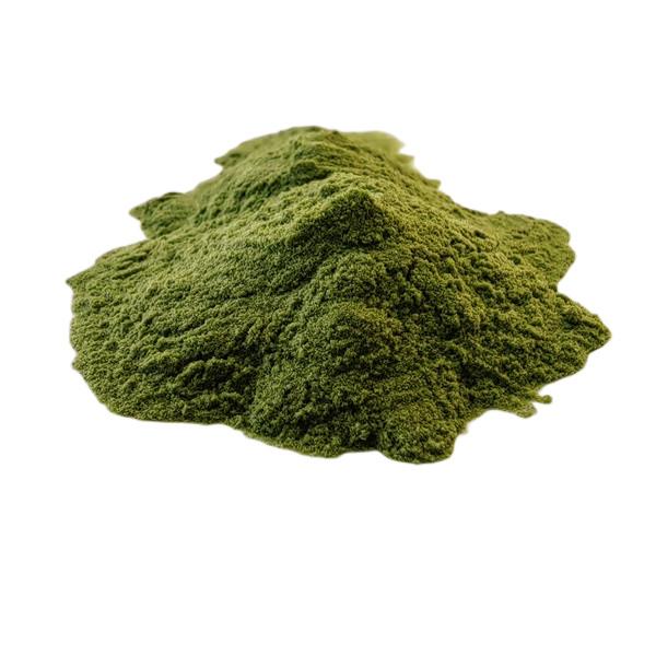Biostimulants Natural Growth Regulator Seaweed Polysaccharides Fertilizer Green Powder
