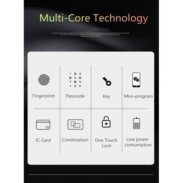 4200MAH Lithium Battery Auto Alarm Fingerprint Door Lock Classical Black
