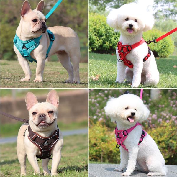 Adjustable Breathable Dog Vest Safety 1.5m Traction Leash No Pull Dog Harness Set Personalized for Safe and Stylish Walks