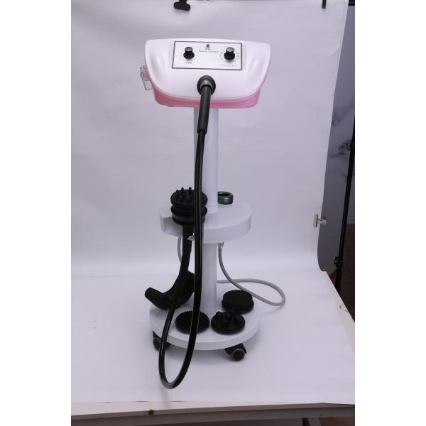 2024 2 in 1 pink G8 Vibration Body Massage Vacuum Heating Slimming Machine with Stand