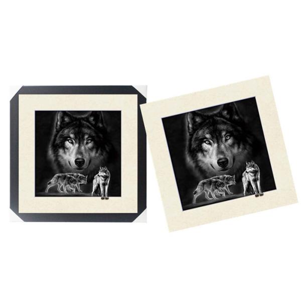 SGS 3d Lenticular Picture With PS Frame 0.6mm Pet Thickness 5d Photos