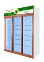 Luxury Commercial Beverage Cooler Upright Glass Door Display Fridge Adjustable Shelves