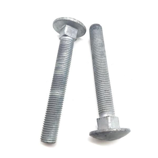 HDG Carriage Head M10 M24 zinc plated Round Head Square Neck carriage bolt