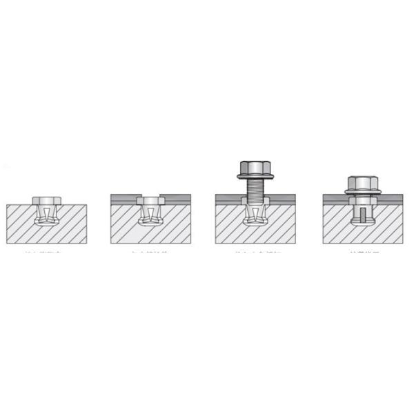 Special expansion bolts&nuts ,Anchoring,hex stainless steel nut,customized special screw