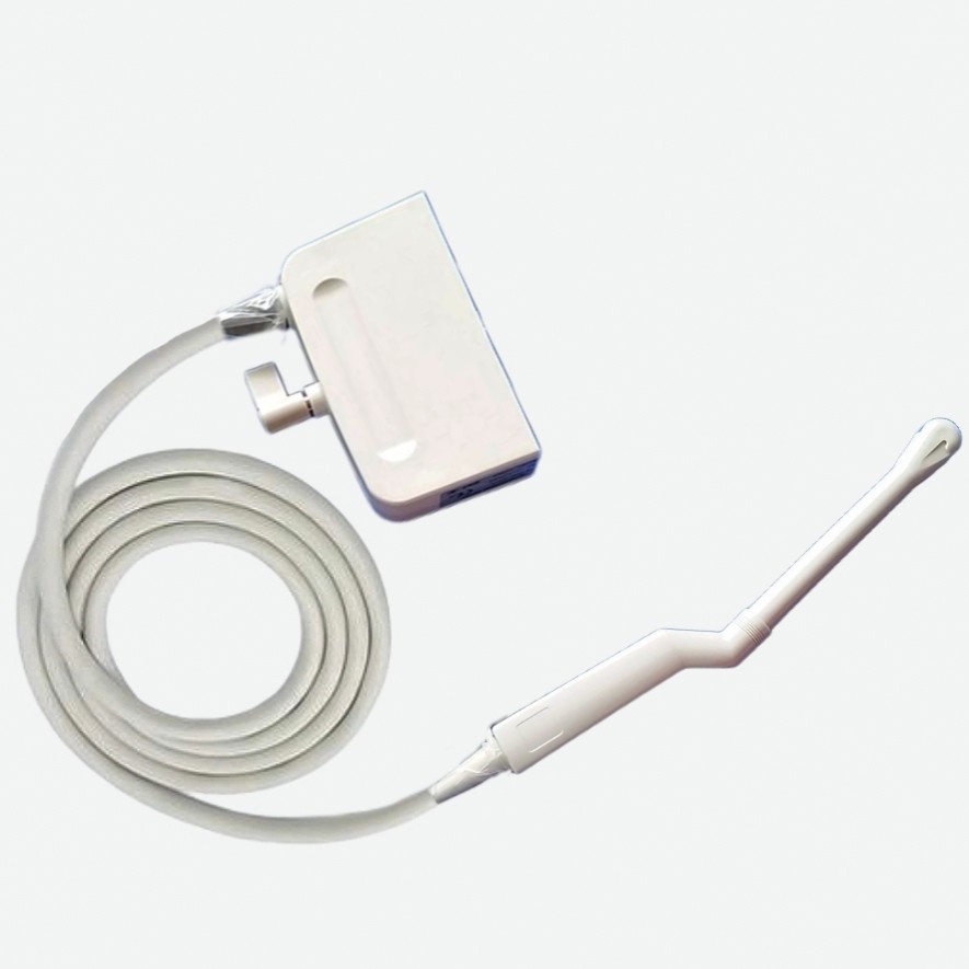 Product Manufacturer Ultrasound to SSA-220A SSA-240A Transvaginal Transducer PVG