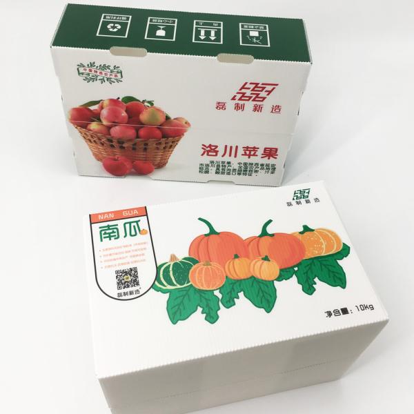 Pumpkin Freshness Retain Package Corrugated Plastic Carton Impact Resistance Anti Bacteria