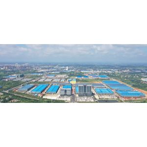 CLW Automobile Group Co., Ltd