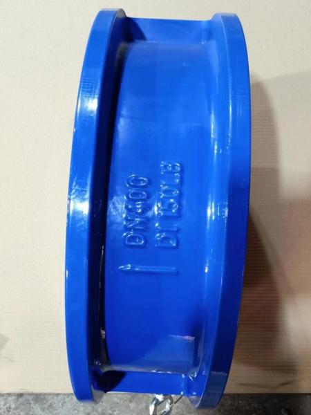Cast Ductile Iron Water Valve Wafer Duo Plate Double Disc Check Valves