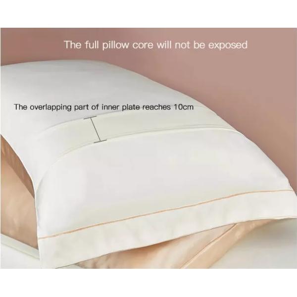 Luxury 100 Mulbery Silk Pillowcase 22 Momme For Hair Private Label