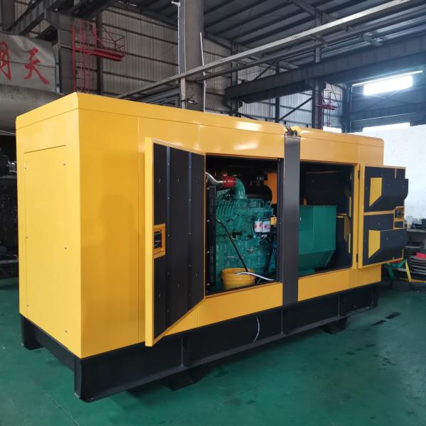 легкое промышленного резервного генератора энергии 250kva Cummins Rainproof для того чтобы двинуть