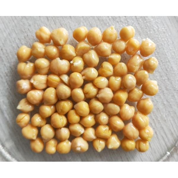 Chinese Organic Canned Chickpeas Vegetables 565g No Impurity With Water / Salt Ingredients