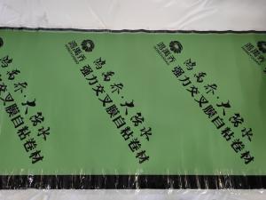 15m 20m Length Self Adhesive Waterproofing Membrane High Polymer Strong Cross