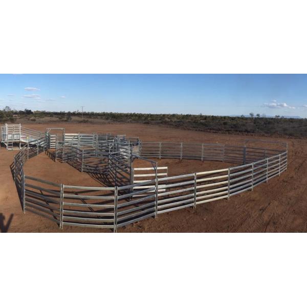 Hdg Tube Australia 1.8m High Heavy Duty Cattle Panel With 6 Bars