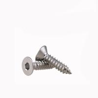 Parafuso de batida do ISO 14586 SUS304 Plum Blossom Screw Countersunk Head do EN do RUÍDO