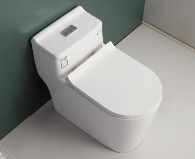 S Trap One Piece Chair Height Toilet Dual Flush Mix Pit Spacing 220mm