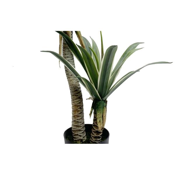 Дерево 100КМ 134КМ 166КМ бонзаев гибкого столетника растительности клея Американа искусственное