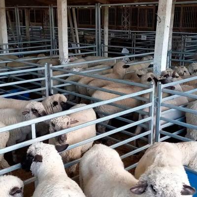 Height 1m Ranch Sheep Panel Fence For Farm Using And Sheep Raising