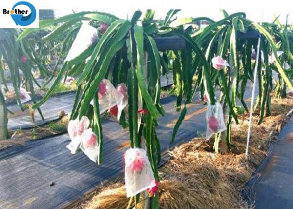 China Wholesale PP/PE Woven Weedmat /PP Woven Ground Cover/Weed Control Fabric for Agriculture /Garden