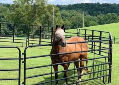 Movable Cattle Corral Livestock Fence Panel For Changing Grazing Patterns