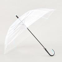 Um guarda-chuva transparente.