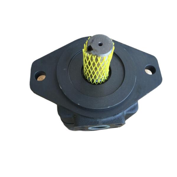 Bomba de válvulas Rexroth PVV4-1X 098RA15DMC Preta Alta Qualidade Faixa de velocidade de rotação