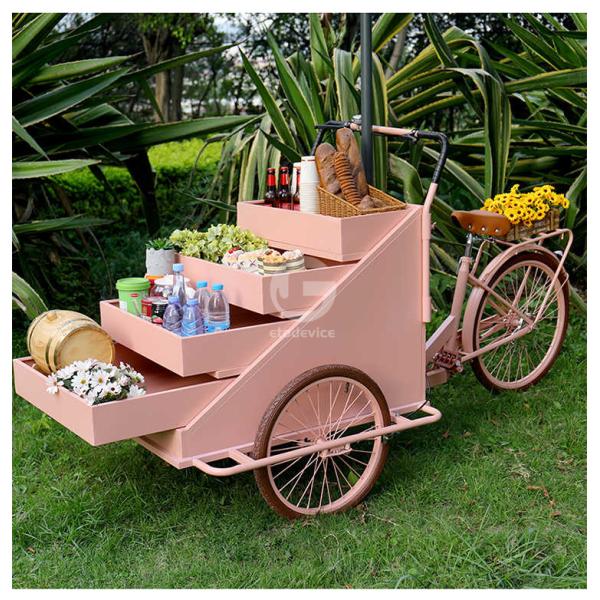 Leisure Fast Food Equipment Food Bike Vending Truck with Customization Acceptable 80kg