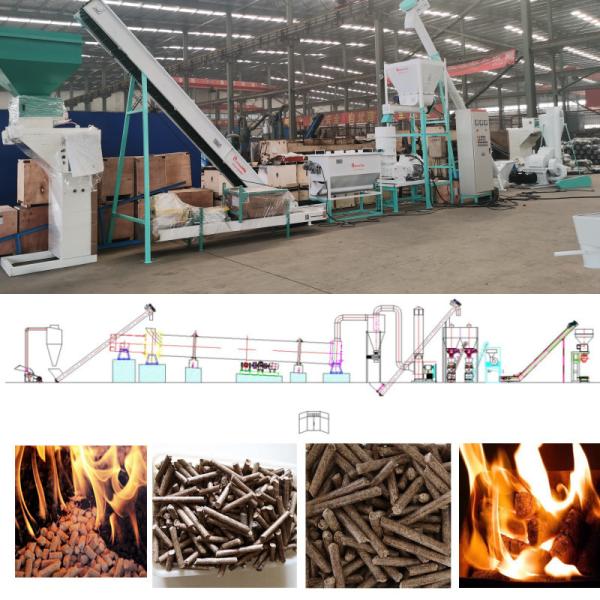 Pine Wood Pellet Production Line 1TPH-10TPH Birch Poplar Biomass Pellet Line