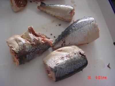 Canned Mackerel In Brine , Jack Mackerel Canned in Tomato Sauce No Artificial Additives