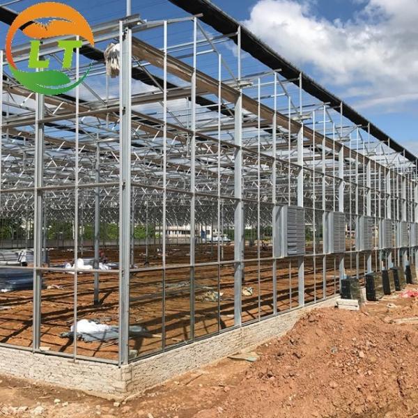 Stable Structure Glass Greenhouse for Growing Vegetables Tomato Skeleton Greenhouse