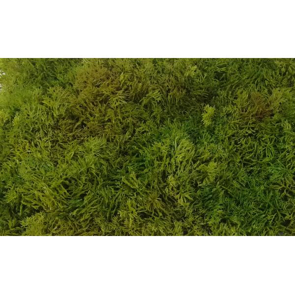 Lifelike 25X50CM Green Faux Grass For Landscape Decoration