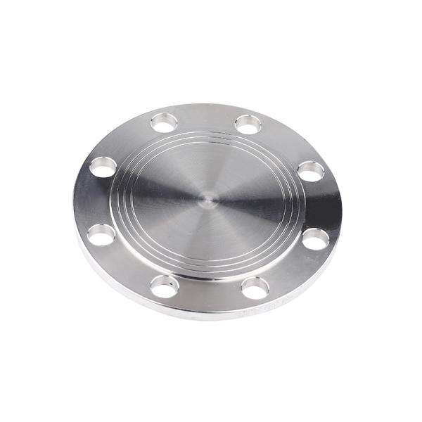Customized SS301/304/316 Forged Blind Flange for ANSI B16.5 CL600 Stainless Steel Pipe