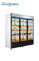 La capa doble de cristal del refrigerador 1587L de las bebidas de refrigerador de la puerta del LED moderó