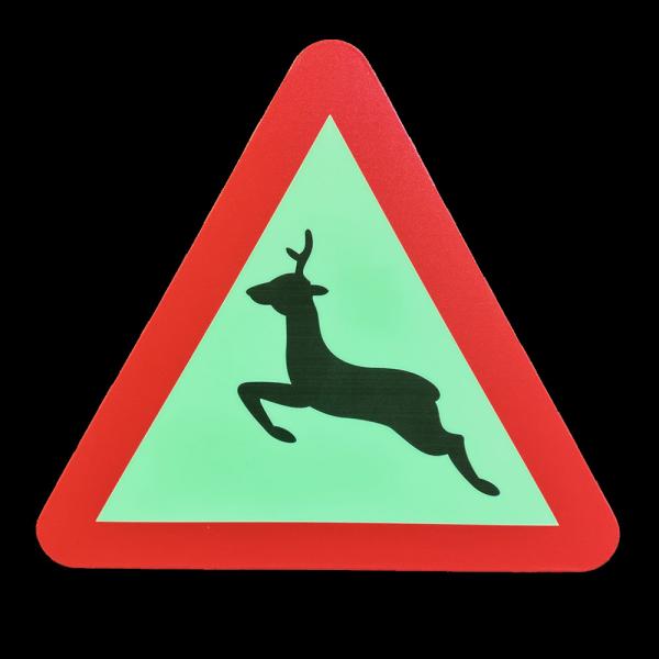 Plastic Photoluminescent Signage For Wall Mounted And Ceiling Mounted Installation