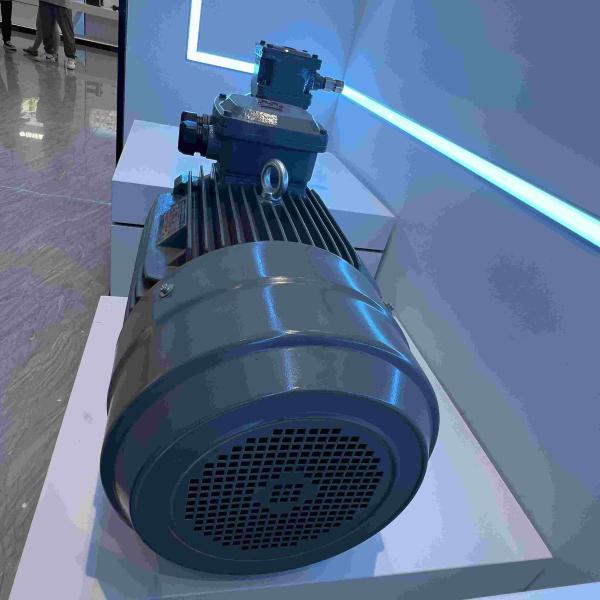 tension de moteurs électriques monophasé 220V basse avec le ccc