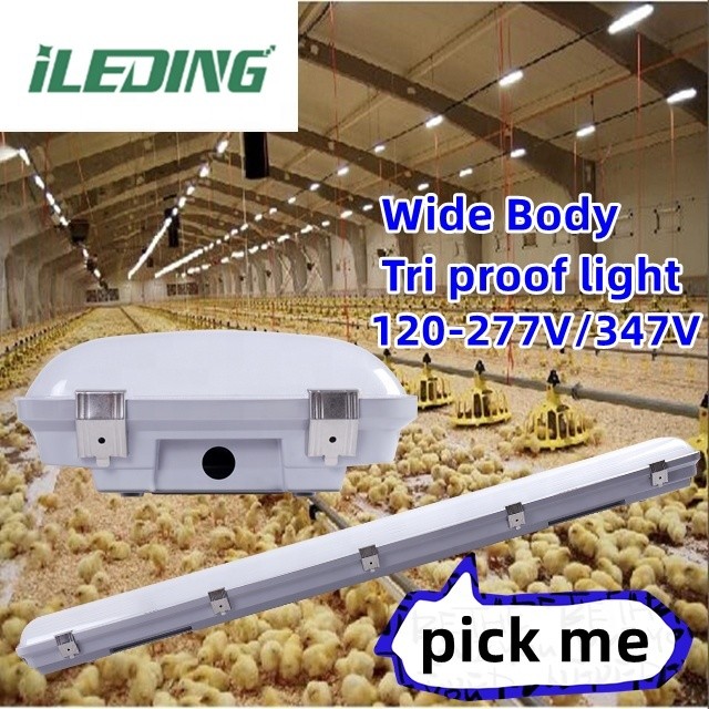 IP67 155W 4FT 1.2M LED Vapor Tight Tri-proof Light for Industrial Warehouse Damp Proof