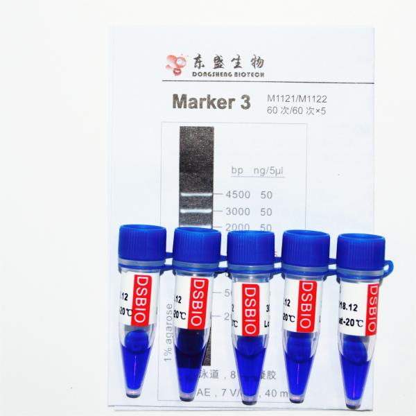 Escada M1121 do ADN do marcador 3 (50μg) /M1122 (5×50μg)