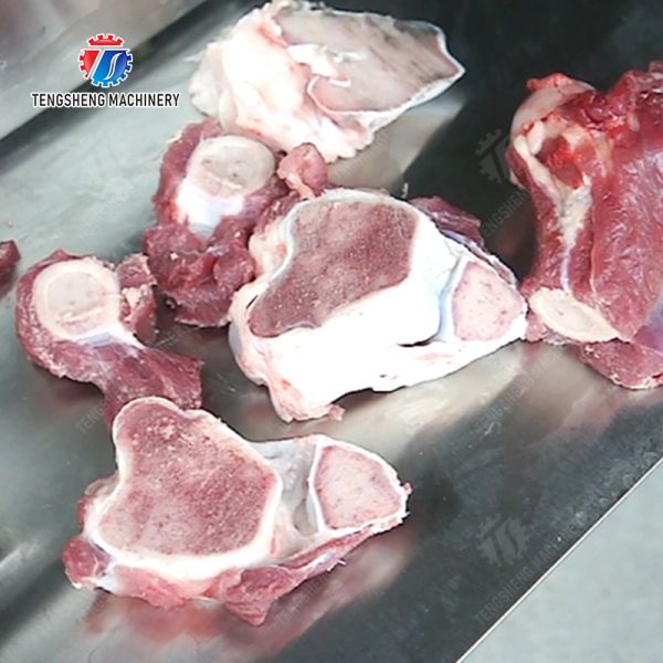 Découpeuse électrique d'os de 1.1KW Creophagy, machine de coupeur de scie d'os de démontage