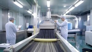 Dongguan Tuwe Polymer Co., Ltd