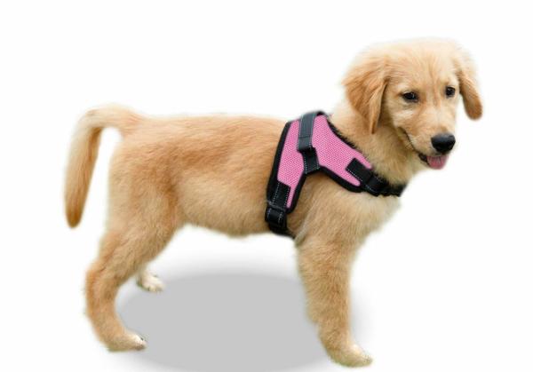 Reflective Nylon Dog Harness , Adjustable Dog Harness Pet Vest With Soft Handle