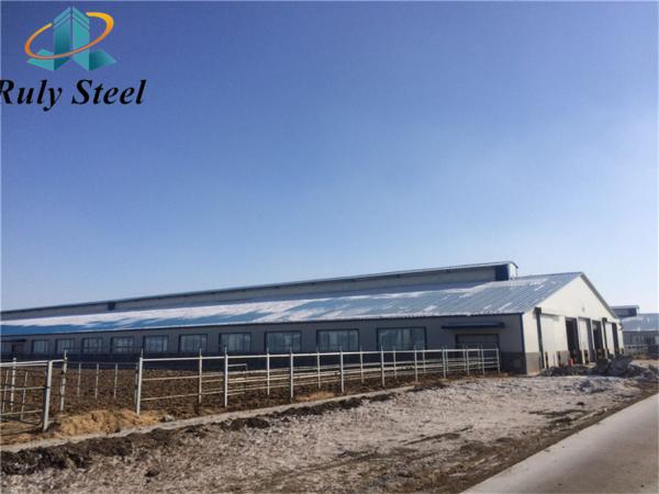 Prefab H-Beam Steel Structure Poultry House with Sandwich Panel