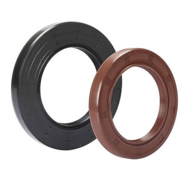 High Oil Resistance Oil Seal Composite Lip For Industrial