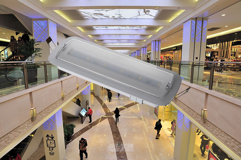 120LM Ceiling Recessed Emergency Light IP20 Rechargeable SMD 5730 LED L116N-B