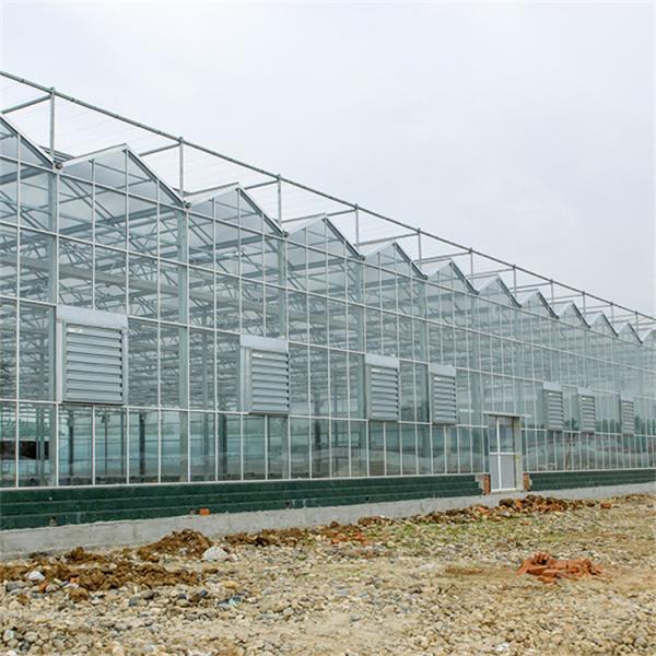 Estufa de vidro automática galvanizada de Venlo da tubulação de aço para o jardim botânico