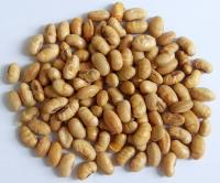 Kosher Halal certifié enduit rôti épicé jaune Edamame Snacks de haricots de soja ISO approuvé