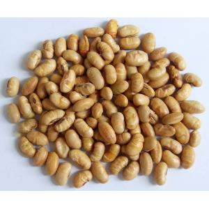 Kosher Halal Revestido Edamame amarillo picante asado